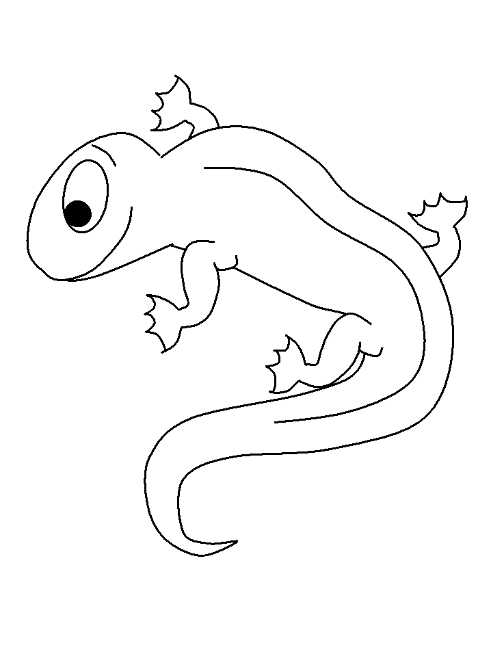 Dibujo para colorear: Salamandra (Animales) #19906 - Dibujos para Colorear e Imprimir Gratis