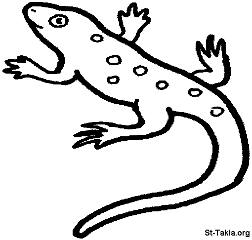 Dibujo para colorear: Salamandra (Animales) #19911 - Dibujos para Colorear e Imprimir Gratis