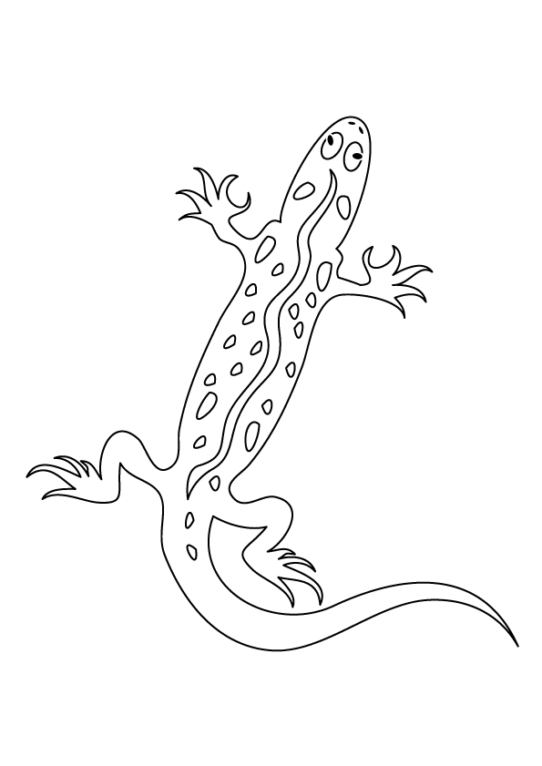 Dibujo para colorear: Salamandra (Animales) #19946 - Dibujos para Colorear e Imprimir Gratis
