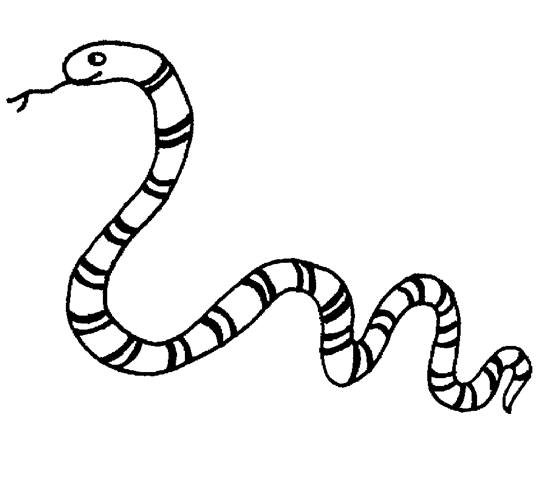 Dibujo para colorear: Serpiente (Animales) #14349 - Dibujos para Colorear e Imprimir Gratis