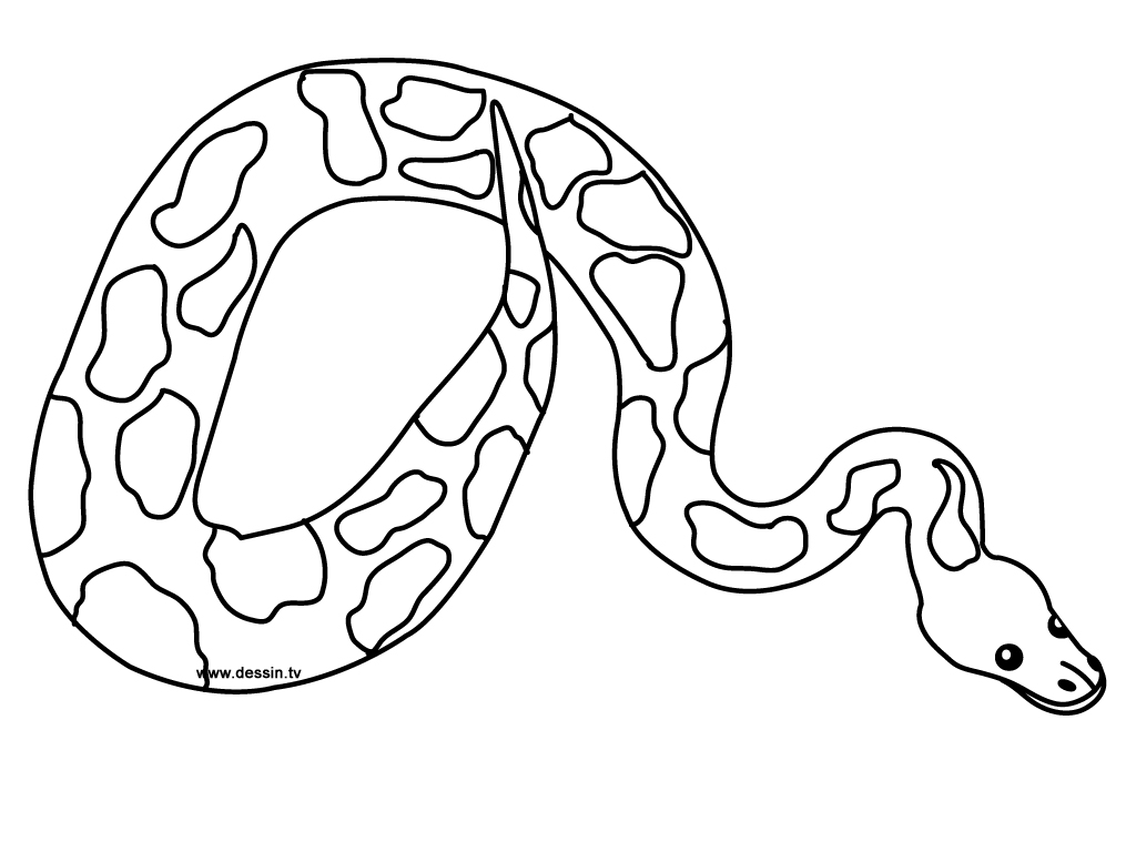 Dibujo para colorear: Serpiente (Animales) #14352 - Dibujos para Colorear e Imprimir Gratis