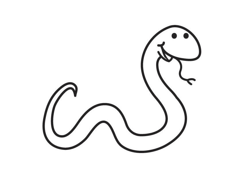 Dibujo para colorear: Serpiente (Animales) #14353 - Dibujos para Colorear e Imprimir Gratis