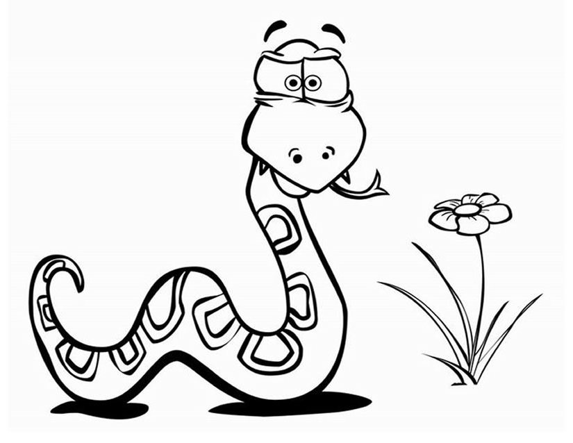 Dibujo para colorear: Serpiente (Animales) #14356 - Dibujos para Colorear e Imprimir Gratis
