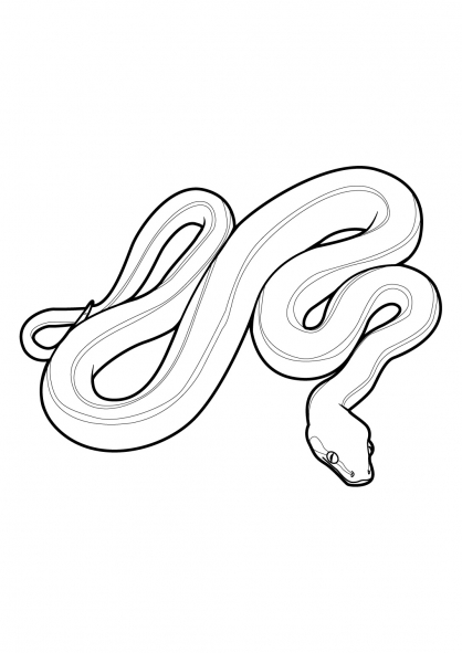 Dibujo para colorear: Serpiente (Animales) #14358 - Dibujos para Colorear e Imprimir Gratis