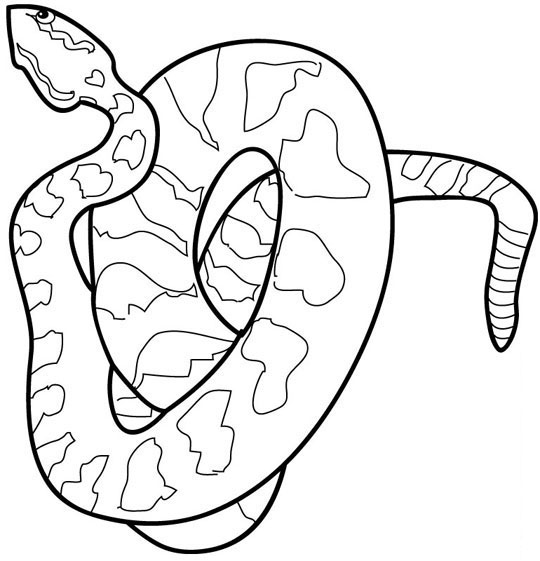 Dibujo para colorear: Serpiente (Animales) #14359 - Dibujos para Colorear e Imprimir Gratis