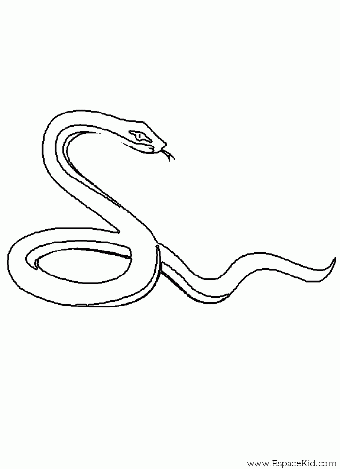 Dibujo para colorear: Serpiente (Animales) #14365 - Dibujos para Colorear e Imprimir Gratis