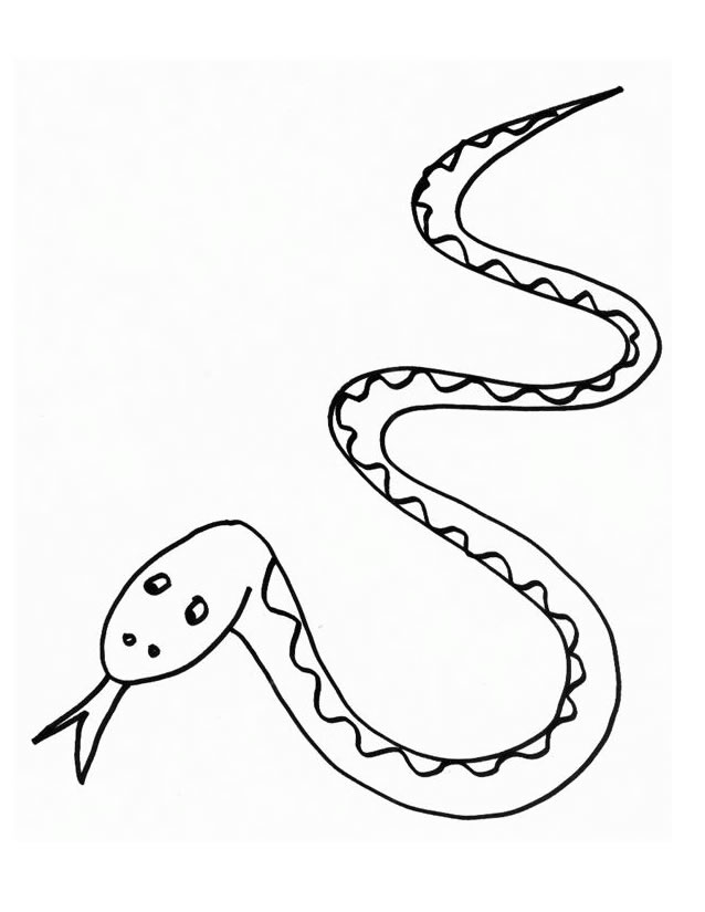 Dibujo para colorear: Serpiente (Animales) #14370 - Dibujos para Colorear e Imprimir Gratis