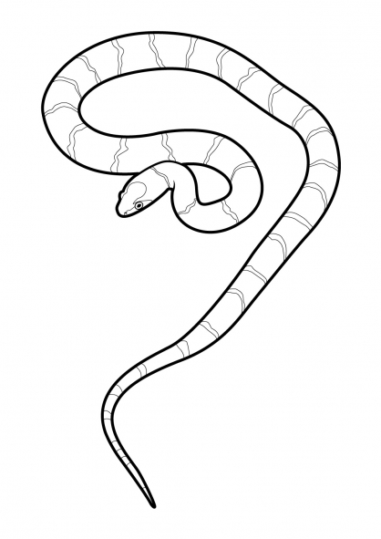 Dibujo para colorear: Serpiente (Animales) #14410 - Dibujos para Colorear e Imprimir Gratis