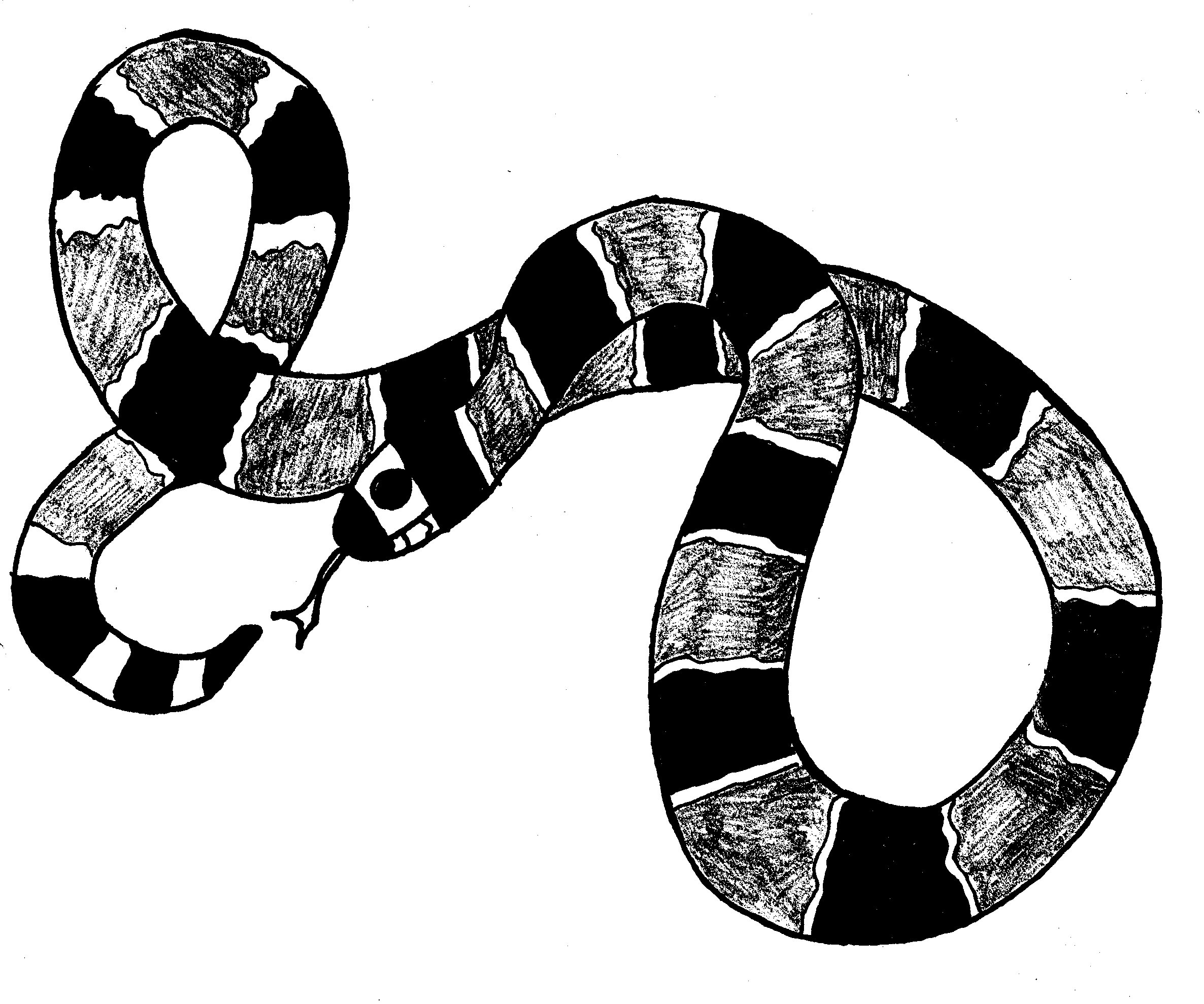 Dibujo para colorear: Serpiente (Animales) #14426 - Dibujos para Colorear e Imprimir Gratis