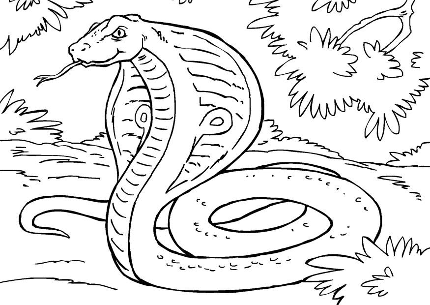 Dibujo para colorear: Serpiente (Animales) #14445 - Dibujos para Colorear e Imprimir Gratis