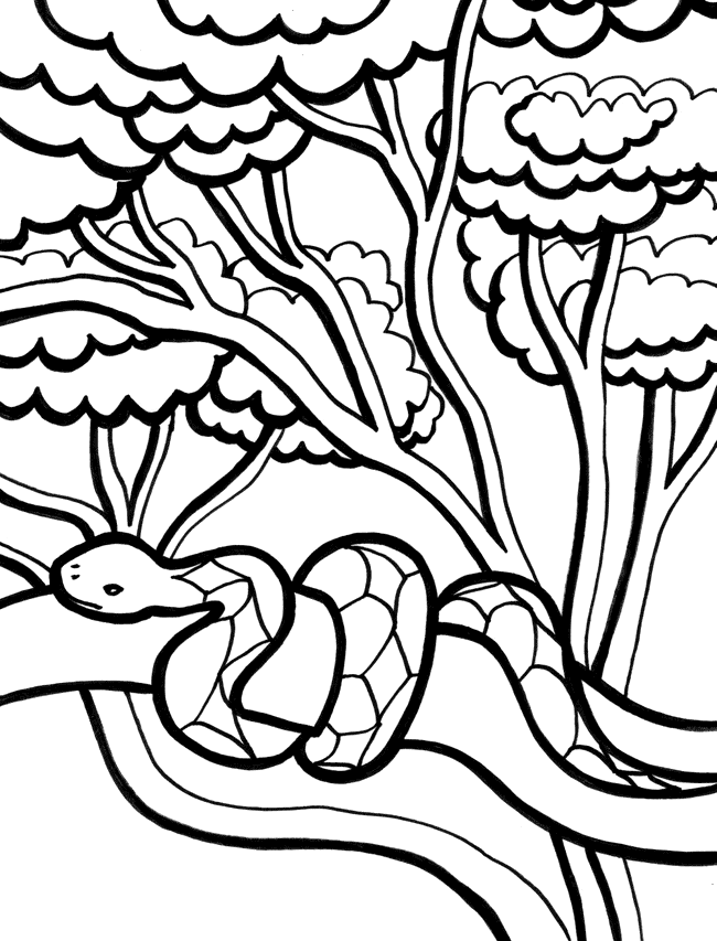 Dibujo para colorear: Serpiente (Animales) #14453 - Dibujos para Colorear e Imprimir Gratis
