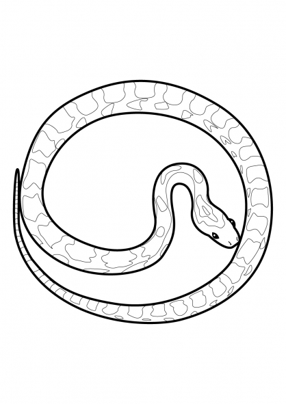 Dibujo para colorear: Serpiente (Animales) #14482 - Dibujos para Colorear e Imprimir Gratis