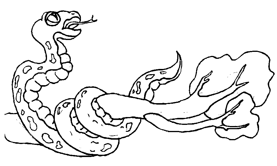 Dibujo para colorear: Serpiente (Animales) #14502 - Dibujos para Colorear e Imprimir Gratis
