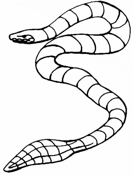 Dibujo para colorear: Serpiente (Animales) #14512 - Dibujos para Colorear e Imprimir Gratis