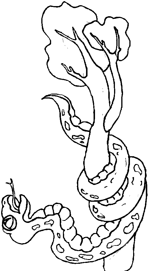 Dibujo para colorear: Serpiente (Animales) #14525 - Dibujos para Colorear e Imprimir Gratis