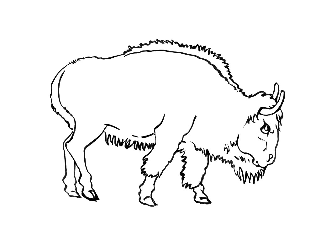 Dibujo para colorear: Tauro (Animales) #13855 - Dibujos para Colorear e Imprimir Gratis