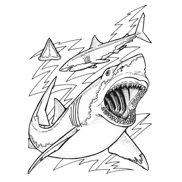 Dibujo para colorear: Tiburón (Animales) #14769 - Dibujos para Colorear e Imprimir Gratis