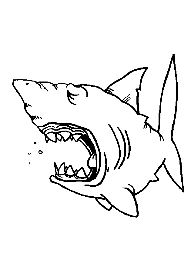 Dibujo para colorear: Tiburón (Animales) #14773 - Dibujos para Colorear e Imprimir Gratis