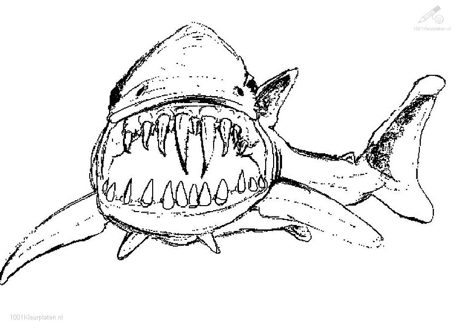 Dibujo para colorear: Tiburón (Animales) #14775 - Dibujos para Colorear e Imprimir Gratis