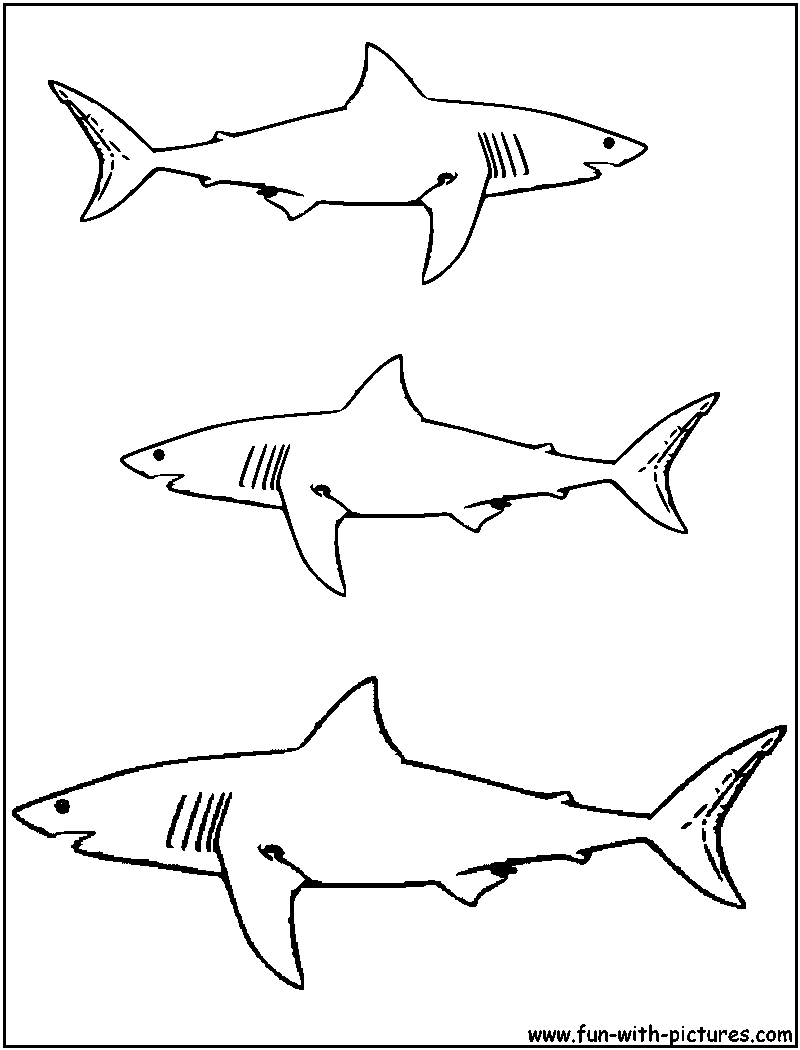 Dibujo para colorear: Tiburón (Animales) #14776 - Dibujos para Colorear e Imprimir Gratis