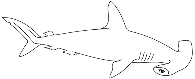 Dibujo para colorear: Tiburón (Animales) #14787 - Dibujos para Colorear e Imprimir Gratis