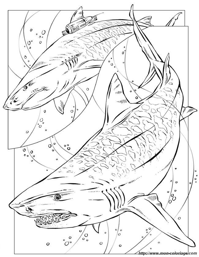 Dibujo para colorear: Tiburón (Animales) #14799 - Dibujos para Colorear e Imprimir Gratis