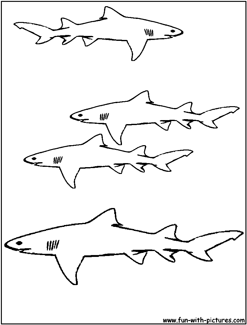 Dibujo para colorear: Tiburón (Animales) #14800 - Dibujos para Colorear e Imprimir Gratis
