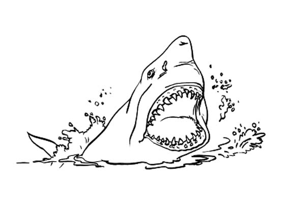 Dibujo para colorear: Tiburón (Animales) #14835 - Dibujos para Colorear e Imprimir Gratis