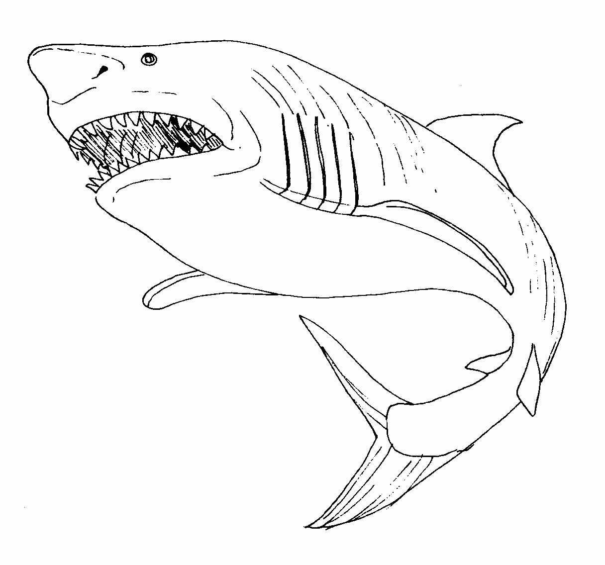Dibujo para colorear: Tiburón (Animales) #14843 - Dibujos para Colorear e Imprimir Gratis