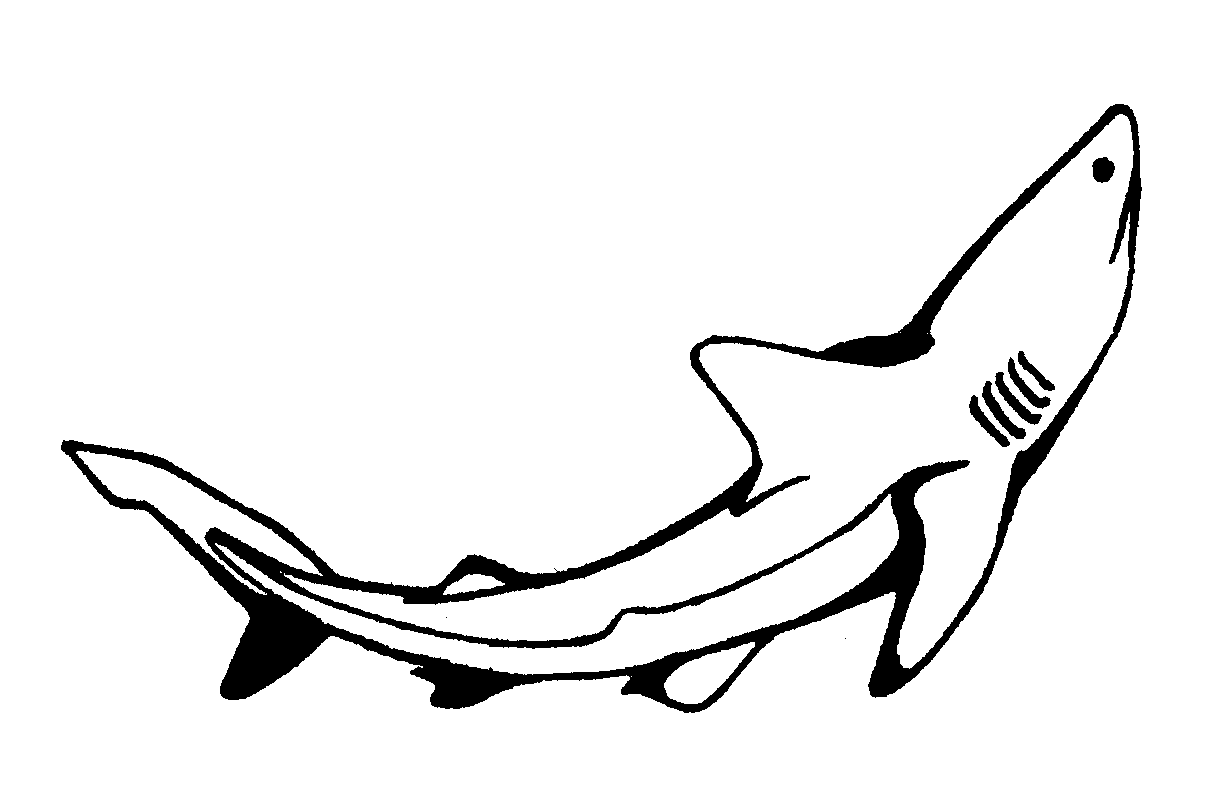 Dibujo para colorear: Tiburón (Animales) #14849 - Dibujos para Colorear e Imprimir Gratis