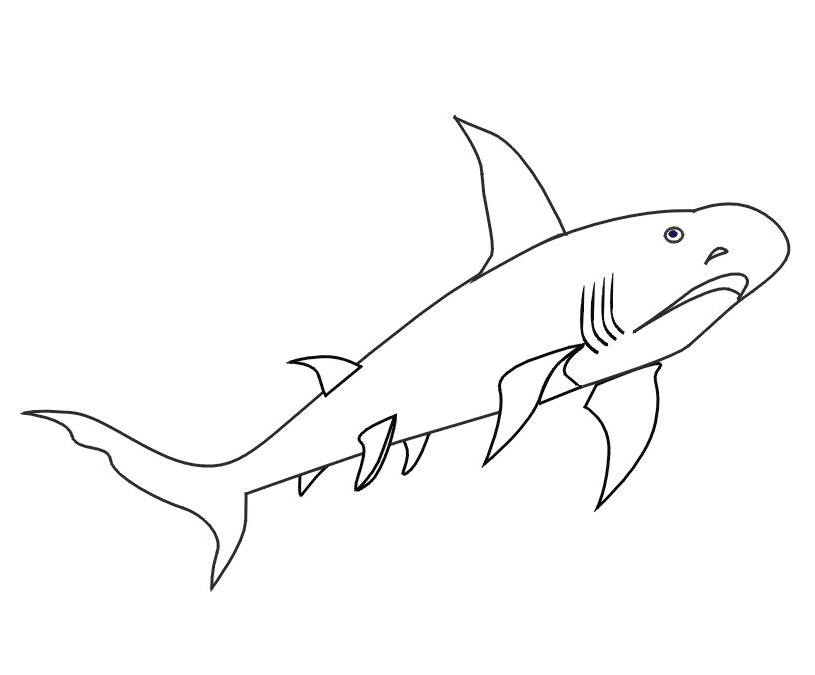 Dibujo para colorear: Tiburón (Animales) #14851 - Dibujos para Colorear e Imprimir Gratis