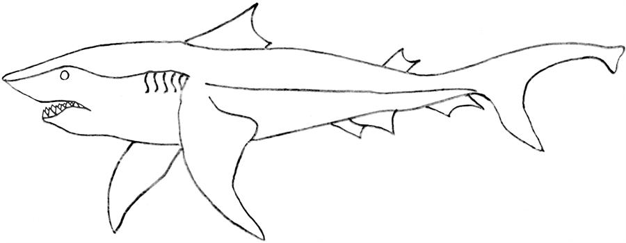 Dibujo para colorear: Tiburón (Animales) #14860 - Dibujos para Colorear e Imprimir Gratis