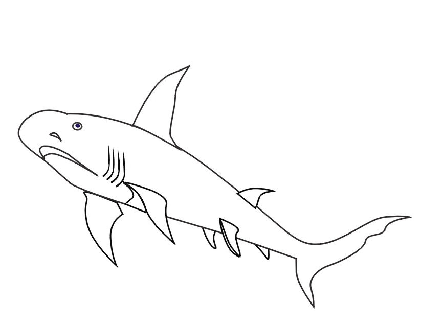 Dibujo para colorear: Tiburón (Animales) #14882 - Dibujos para Colorear e Imprimir Gratis