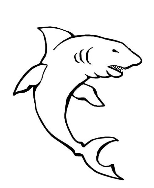 Dibujo para colorear: Tiburón (Animales) #14890 - Dibujos para Colorear e Imprimir Gratis