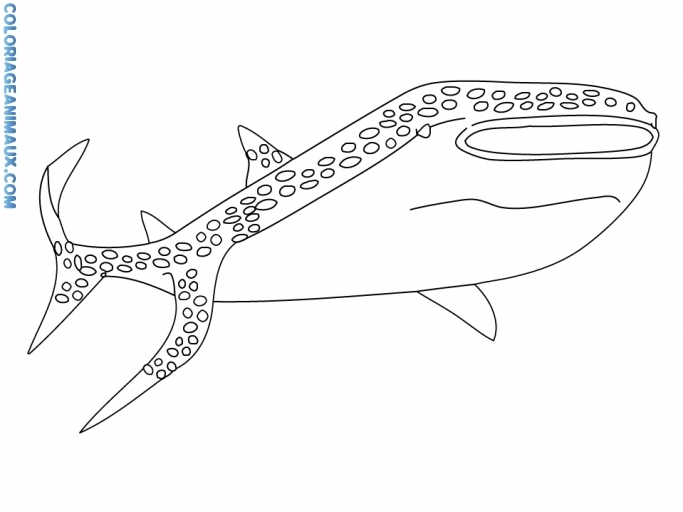 Dibujo para colorear: Tiburón (Animales) #14905 - Dibujos para Colorear e Imprimir Gratis