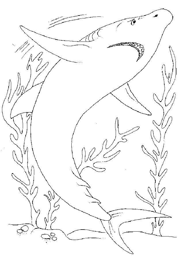Dibujo para colorear: Tiburón (Animales) #14927 - Dibujos para Colorear e Imprimir Gratis