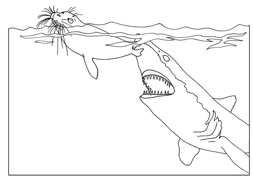 Dibujo para colorear: Tiburón (Animales) #14951 - Dibujos para Colorear e Imprimir Gratis