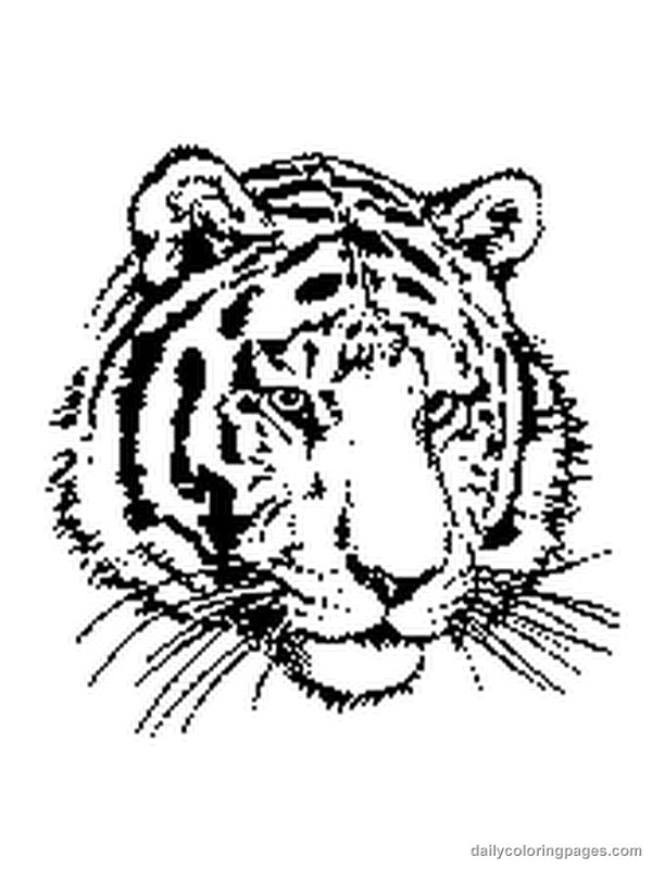 Dibujo para colorear: Tigre (Animales) #13592 - Dibujos para Colorear e Imprimir Gratis