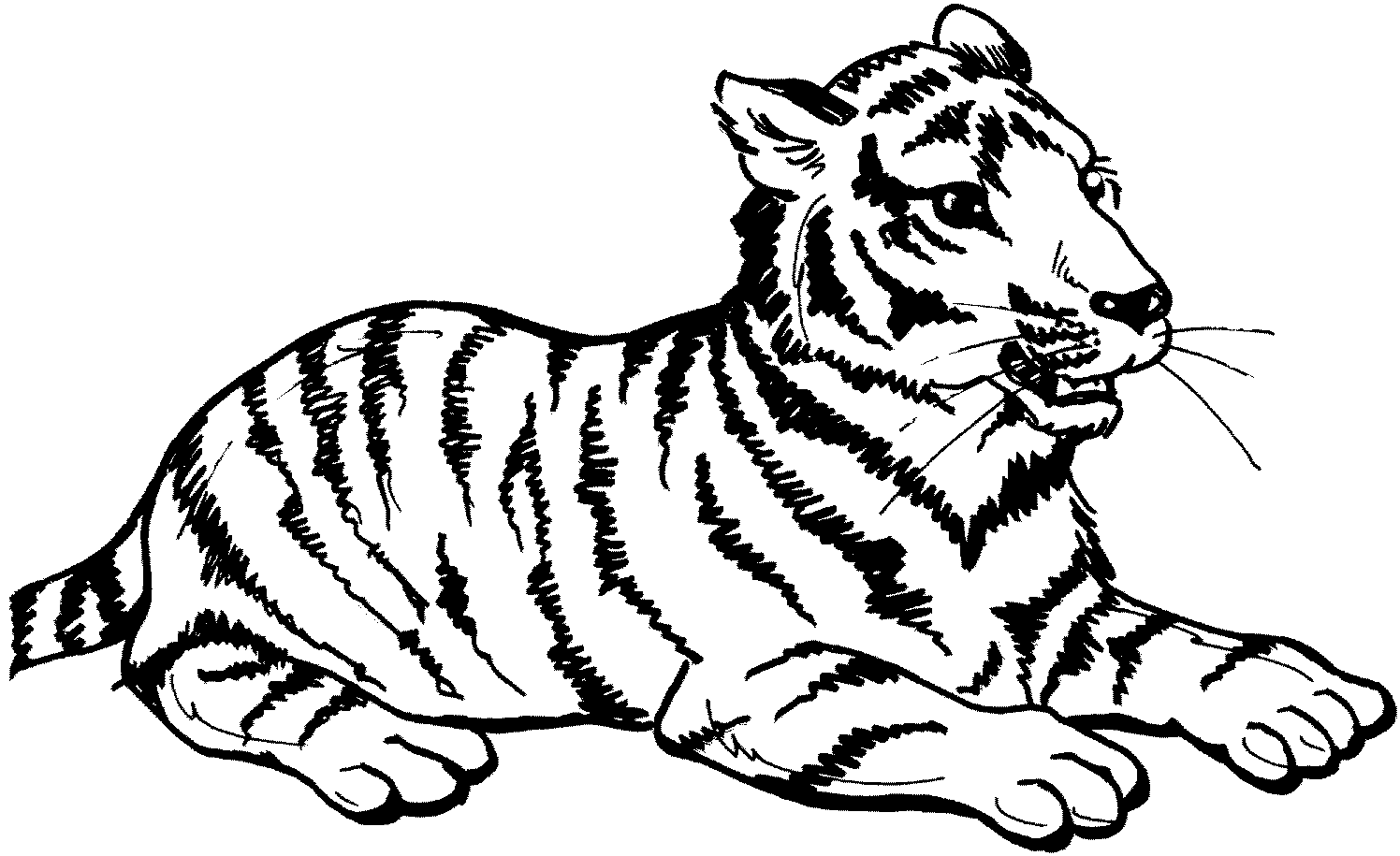 Dibujo para colorear: Tigre (Animales) #13597 - Dibujos para Colorear e Imprimir Gratis