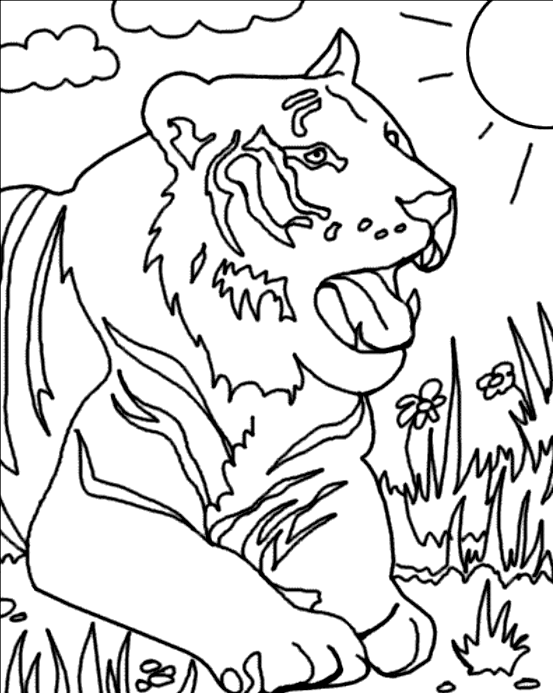 Dibujo para colorear: Tigre (Animales) #13602 - Dibujos para Colorear e Imprimir Gratis