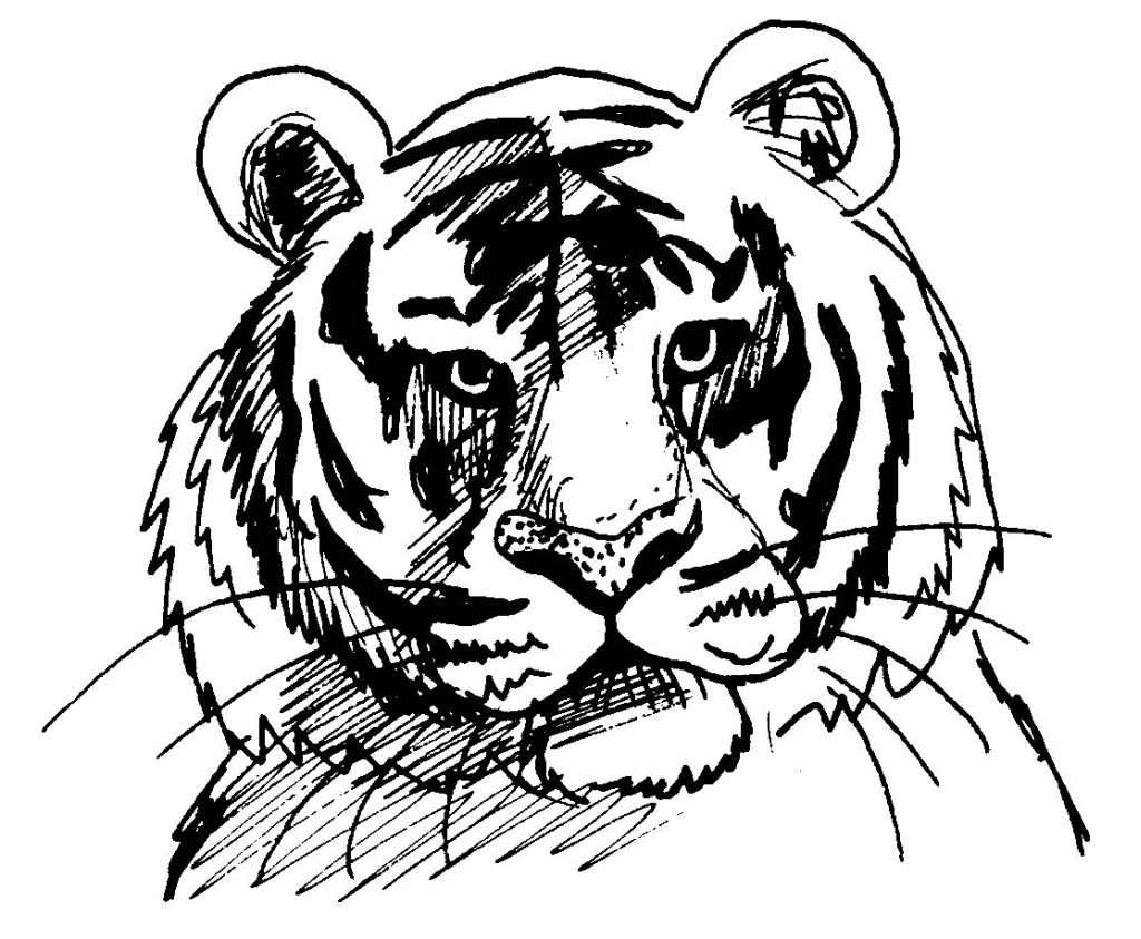 Dibujo para colorear: Tigre (Animales) #13610 - Dibujos para Colorear e Imprimir Gratis