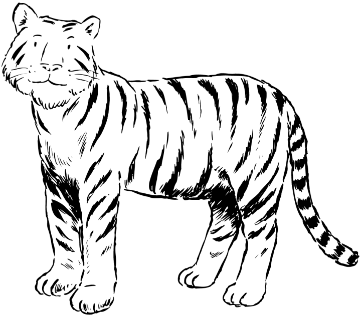 Dibujo para colorear: Tigre (Animales) #13621 - Dibujos para Colorear e Imprimir Gratis