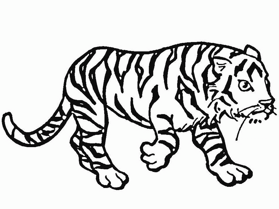 Dibujo para colorear: Tigre (Animales) #13629 - Dibujos para Colorear e Imprimir Gratis