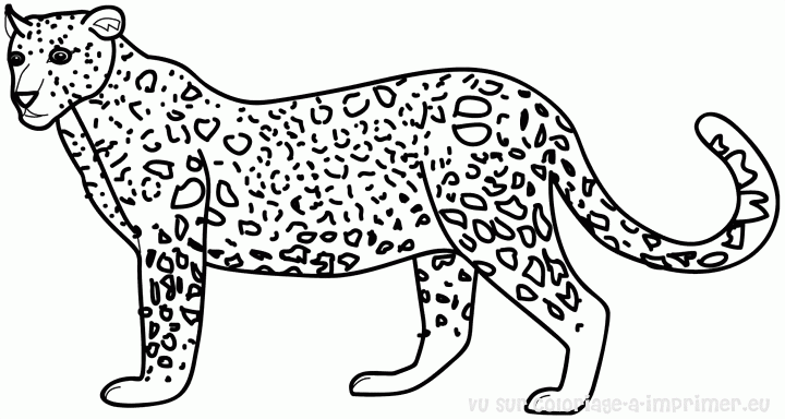 Dibujo para colorear: Tigre (Animales) #13649 - Dibujos para Colorear e Imprimir Gratis