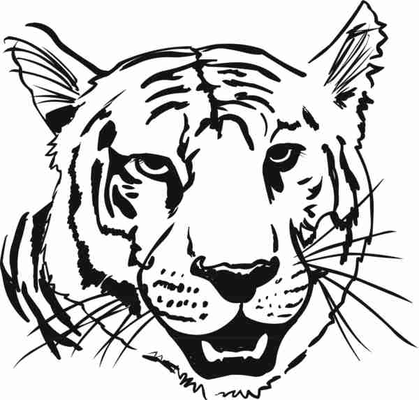 Dibujo para colorear: Tigre (Animales) #13666 - Dibujos para Colorear e Imprimir Gratis
