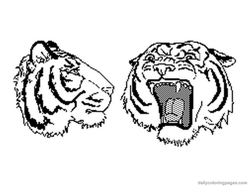 Dibujo para colorear: Tigre (Animales) #13697 - Dibujos para Colorear e Imprimir Gratis