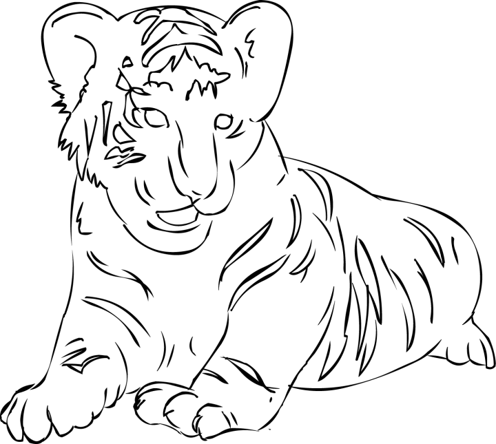 Dibujo para colorear: Tigre (Animales) #13701 - Dibujos para Colorear e Imprimir Gratis