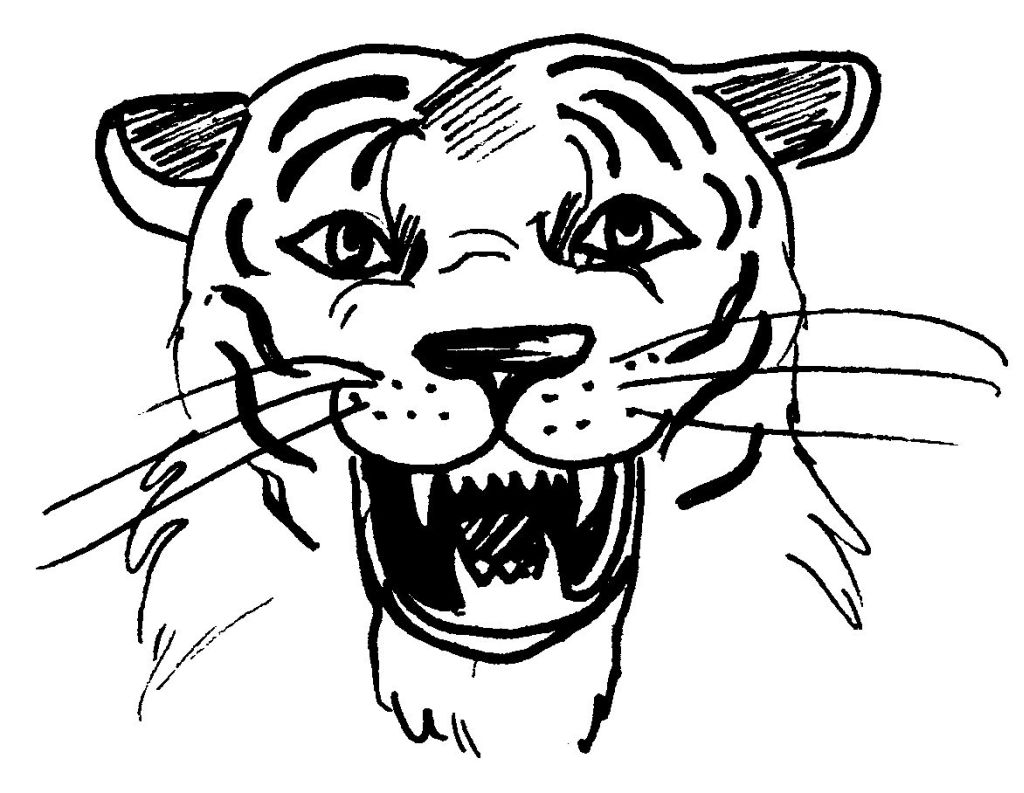 Dibujo para colorear: Tigre (Animales) #13716 - Dibujos para Colorear e Imprimir Gratis