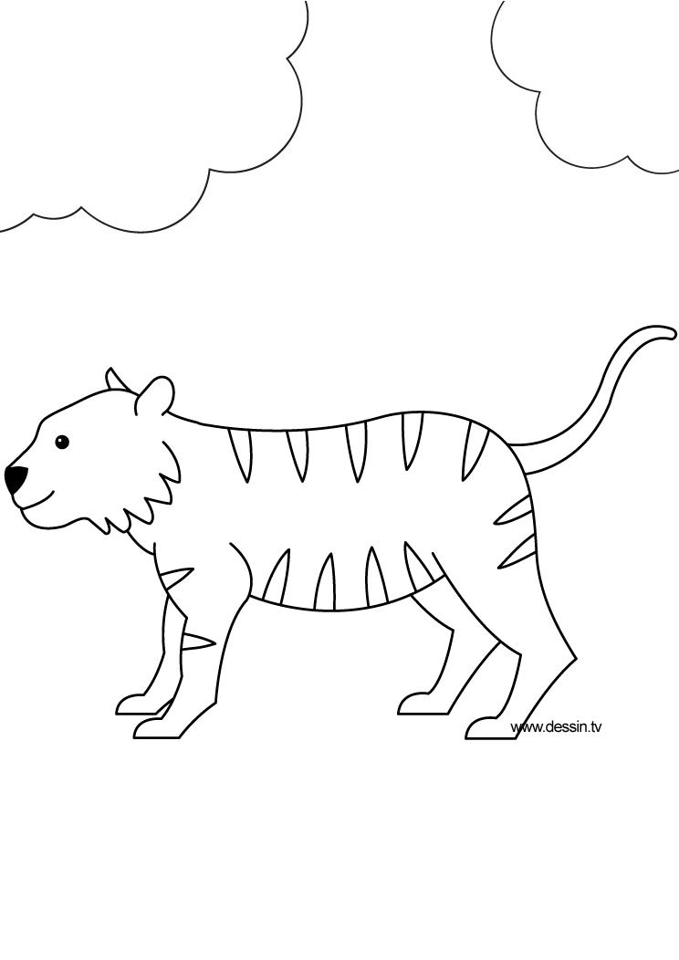 Dibujo para colorear: Tigre (Animales) #13733 - Dibujos para Colorear e Imprimir Gratis