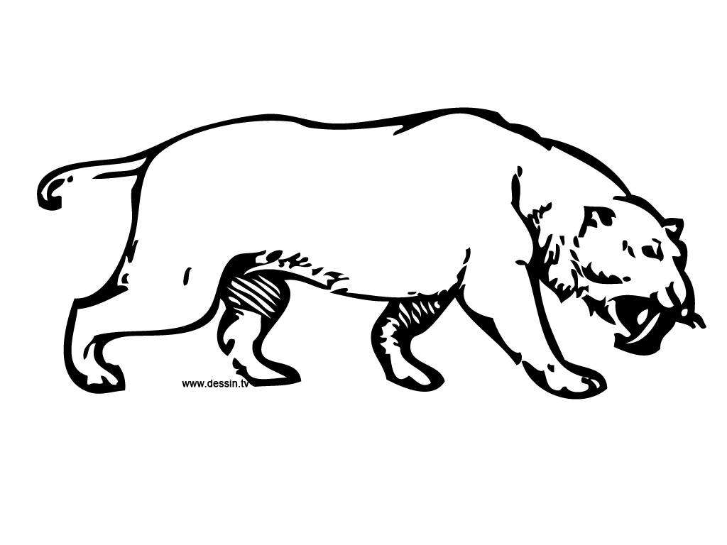 Dibujo para colorear: Tigre (Animales) #13759 - Dibujos para Colorear e Imprimir Gratis